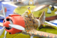 21-Ogolnopolski-Konkurs-Modeli-Kartonowych-Przeciszow-2022-056