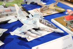 21-Ogolnopolski-Konkurs-Modeli-Kartonowych-Przeciszow-2022-040