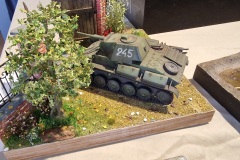 Ogolnopolski-Konkurs-Modeli-Kartonowych-Przeciszow-2024-94