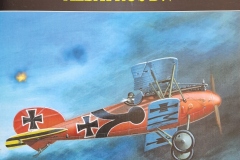 Albatros-DV-MPModel-inbox-01