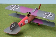 Albatros D.V