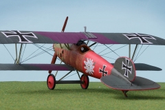 Albatros-D.V-8