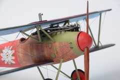 Albatros-D.V-84