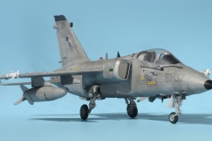 AMX-8