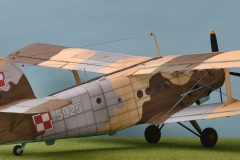 An-2-gotowy-12