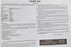 austriacki-parowoz-serii-kk-StB-229-Angraf-inbox-02 austriacki-parowoz-serii-kk-StB-229-Angraf-inbox-02
