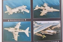 AV-8B-Harrier-II-plus-ORLIK-inbox-15