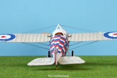 Bristol M1C
