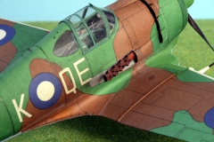 CA-13-Boomerang-60