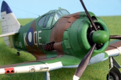 CA-13-Boomerang-70