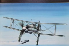 Fieseler-FI-167A-MPModel-inbox-01