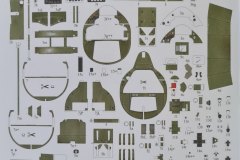 FM2_Wildcat_Card_Army_Answer_inbox_15