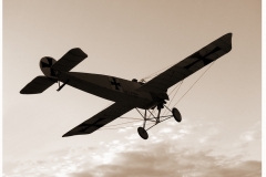 Fokker-EIII-14