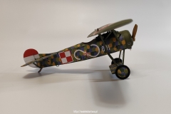 Fokker E.V
