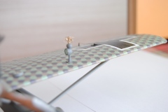 DSC_1365