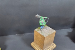 Hradecky-Lev-2026-065