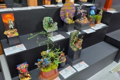 Hradecky-Lev-2026-069