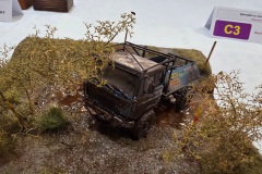 Hradecky-Lev-2026-089