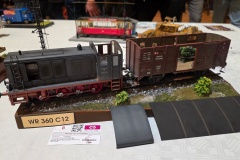 Hradecky-Lev-2026-094