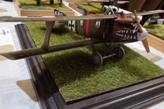 Hradecky-Lev-2026-113