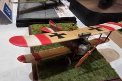 Hradecky-Lev-2026-114