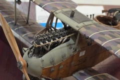 Hradecky-Lev-2026-120