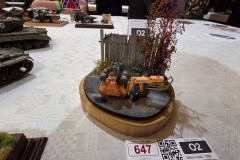 Hradecky-Lev-2026-128