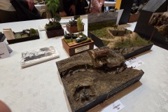 Hradecky-Lev-2026-134