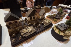 Hradecky-Lev-2026-135