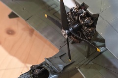 Hradecky-Lev-2026-145