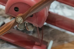 Hradecky-Lev-2026-146