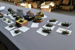 Konkurs_Modeli_Kartonowych_I_Plastikowych_Scinawka_Srednia_2021_014