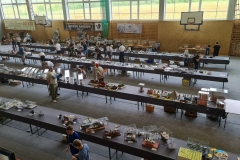Konkurs_Modeli_Kartonowych_I_Plastikowych_Scinawka_Srednia_2021_044