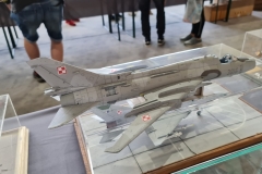 Konkurs_Modeli_Kartonowych_I_Plastikowych_Scinawka_Srednia_2021_089