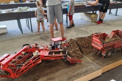 Konkurs_Modeli_Kartonowych_I_Plastikowych_Scinawka_Srednia_2021_111