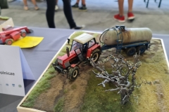 Konkurs_Modeli_Kartonowych_I_Plastikowych_Scinawka_Srednia_2021_113