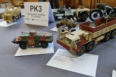 Konkurs_Modeli_Kartonowych_I_Plastikowych_Scinawka_Srednia_2021_173