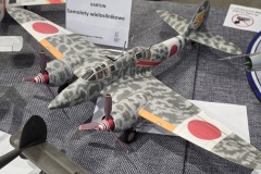 II-Konkurs-Modeli-Kartonowych-i-Plastikowych-Hoym-Model-Fest-Rybnik-2026-041