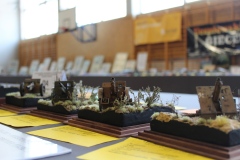 II-Konkurs-Modeli-Kartonowych-i-Plastikowych-Scinawka-Srednia-2022-071