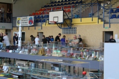 II-Konkurs-Modeli-Kartonowych-i-Plastikowych-Scinawka-Srednia-2022-103