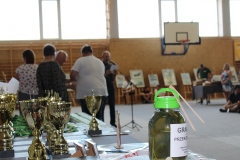 II-Konkurs-Modeli-Kartonowych-i-Plastikowych-Scinawka-Srednia-2022-196