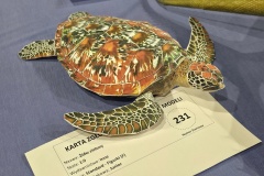 II-Miedzynarodowy-Konkurs-Modeli-Kartonowych-Pabianice-2025-302