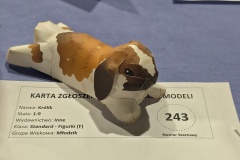 II-Miedzynarodowy-Konkurs-Modeli-Kartonowych-Pabianice-2025-308