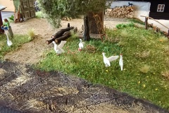 IMG_20230702_131504937