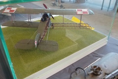 IMG_20230702_131750729