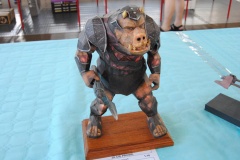 Inowroclawski-Konkurs-Modelarski-Mk-14c-076