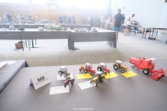 IV Konkurs Modeli Kartonowych i Plastikowych , Ścinawka Średnia 2024, foto:  Arkadiusz Abucewicz