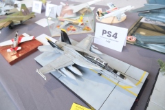 IV-Konkurs-Modeli-Kartonowych-i-Plastikowych-Scinawka-Srednia-2024-176