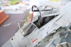 IV-Konkurs-Modeli-Kartonowych-i-Plastikowych-Scinawka-Srednia-2024-178