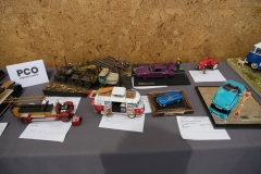 IV-Konkurs-Modeli-Kartonowych-i-Plastikowych-Scinawka-Srednia-2024-268